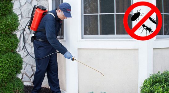 Afşin Böcek İlaçlama böcek ilaçlama ve haşere kontrolü — ilaclama-tr.com